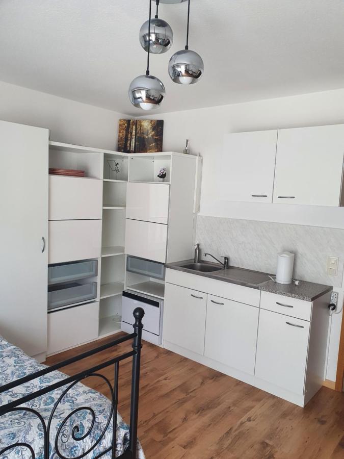 Haus Am Scheibenfelsen Διαμέρισμα St. Blasien Εξωτερικό φωτογραφία