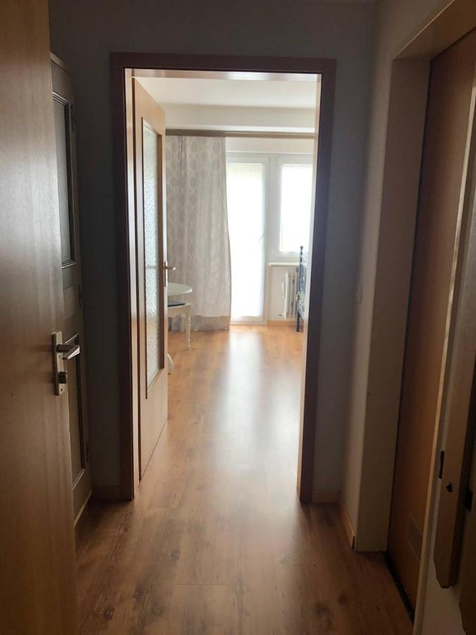 Haus Am Scheibenfelsen Διαμέρισμα St. Blasien Εξωτερικό φωτογραφία