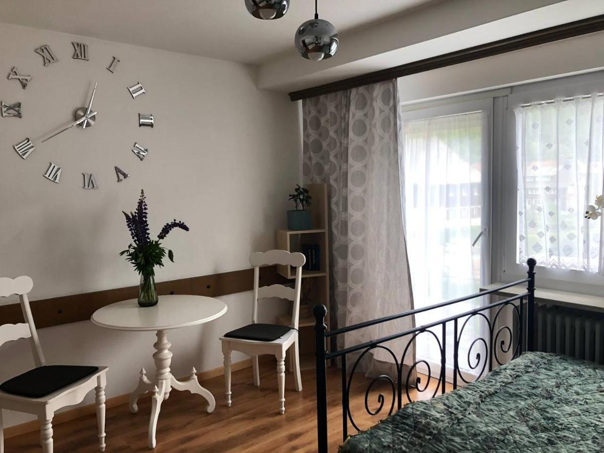 Haus Am Scheibenfelsen Διαμέρισμα St. Blasien Εξωτερικό φωτογραφία