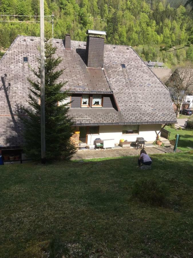 Haus Am Scheibenfelsen Διαμέρισμα St. Blasien Εξωτερικό φωτογραφία