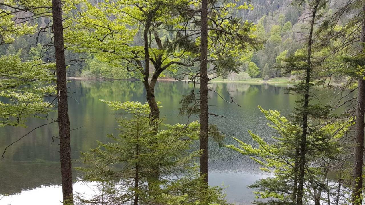 Haus Am Scheibenfelsen Διαμέρισμα St. Blasien Εξωτερικό φωτογραφία