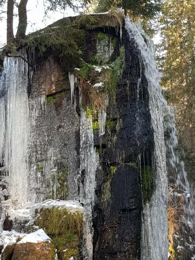 Haus Am Scheibenfelsen Διαμέρισμα St. Blasien Εξωτερικό φωτογραφία